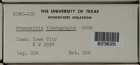 Image Associated With the Occurence